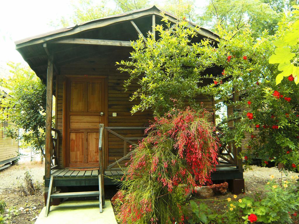 מלון Beykonak Merhaba Bungalow חדר תמונה